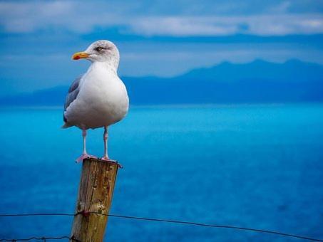 Apartamento Gaivota Sesimbra Bagian luar foto